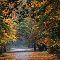 جابه جایی انجام امورات  شخصی