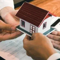 واحد گل نرگس رو به فضای سبز