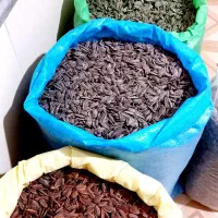 پخش تخمه آفتاب گردان