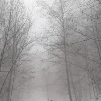 سرایدارجهت هتل آپارتمان