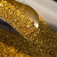 کدمعرف بزن طلاجایزه بگیر