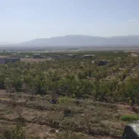 ملک معاوضه|فروش زمین و ملک کلنگی|ساوه, |دیوار