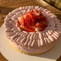 سفارش کیک و تیرامیسو