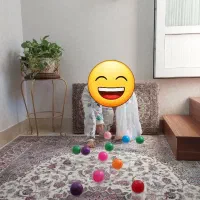 اجاره آپارتمان همکف با حیاط اختصاصی تابنده|اجارهٔ آپارتمان|کاشان, کوی اداره گاز|دیوار