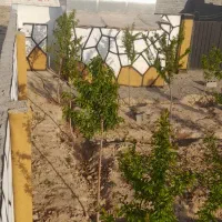 زمین باغ ویلا شاهنامه ماریان