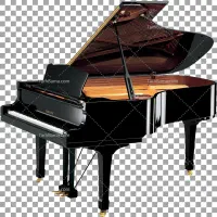 خواننده خوش صدا