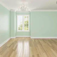 نقاشی ساختمان پلی استر نقاش کناف رنگ چوب پولیستر|خدمات پیشه و مهارت|مشهد, طلاب|دیوار