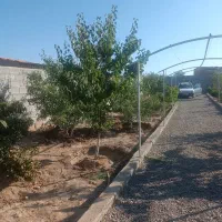 باغ ویلایی جاده نظرلو|فروش خانه و ویلا|صوفیان, |دیوار