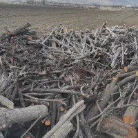 زغال کبابی|عمده‌فروشی|دینور, |دیوار