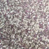 لوبیا شکسته لپه شده