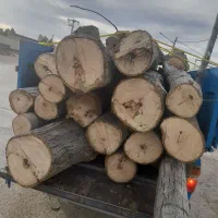 قطع و هرس و خرید درخت و چوب