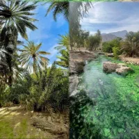 همسفر جنوب|فعالیت داوطلبانه|شهرکرد, |دیوار