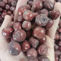 فروش انواع محصولات خراسان جنوبی