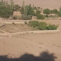 فروش باغ2000متر روستای خوش آب وهواخیج شاهرود