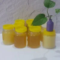 روغن غن وعصاره