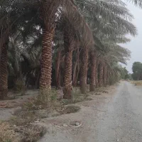 فروش ۳۰۰۰ متری