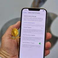 اپل iPhone 12 Pro Max سلامت کامل بشرط|موبایل|رشت, لاکانی|دیوار