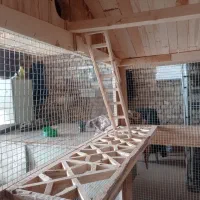 قفس|لوازم جانبی حیوانات|یزد, |دیوار