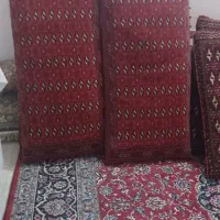 یک عددتلویزیون۲۱سونی بامیز