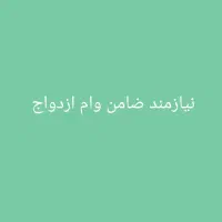 ضامن میخوام