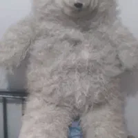 عروسک شاسخین بزرگ ۱۵۰|اسباب‌‌بازی|قرچک, داوود آباد|دیوار