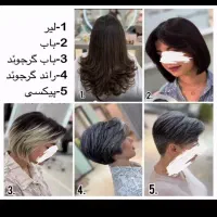 کاملا رایگان