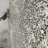 نر سو دار|پرنده|ازنا, |دیوار