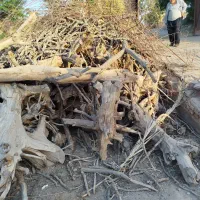 فروش کنده در سیریز زرند|فعالیت داوطلبانه|زرند, |دیوار