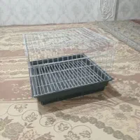 آگهی معاوضه قفس خرگوش با قفس مرغ عشق یا طوطی