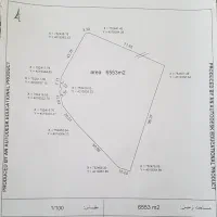 باغ زیبا میوه و سیفی جات کیاسر|فروش زمین و ملک کلنگی|کیاسر, |دیوار