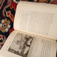 کتاب زندگی روزمره در دوره طاعون|کتاب و مجله مذهبی|فردیس, منظریه|دیوار