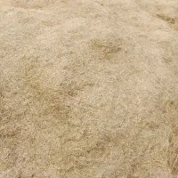 کاه وپرس گندم