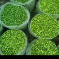 باقالی سبز نخود فرنگی البالو بدون هسته