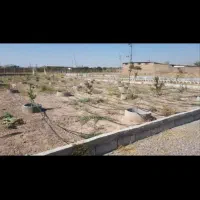 زمین مناسب کشاورزی و گلخانه  سوله کارخانه|فروش دفتر صنعتی، کشاورزی، تجاری|قزوین, |دیوار
