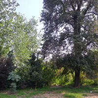 زمین مسکونی باتمام امتیازات خانه ویلایی قابل سکونت