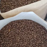 واردات و رُست انواع دان قهوه