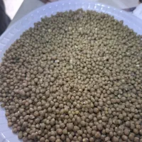 کود شیمیایی رازی ۴۶ درصد