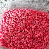 زرشک تازه|خوردنی و آشامیدنی|قم, شهرک مهدیه|دیوار