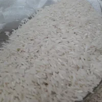 برنج هاشمی لنگرود