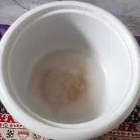 پلوپز در حد نو