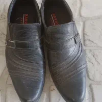 کفش مجلسی مردانه|کیف، کفش، کمربند|قیدار, |دیوار