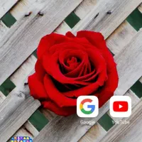 کار.ت سو .خ..ت بنام حسین نظری دلاشجردی پیدا شده