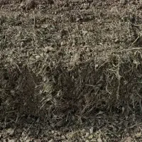 پرس بادام زمینی|حیوانات مزرعه|فامنین, |دیوار