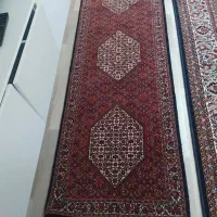 کناره افشار|فرش|زنجان, |دیوار