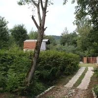 اجاره روزانه کلبه جنگلی سرای گلشن در لفور