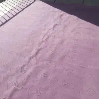 موکت|موکت|سنندج, |دیوار