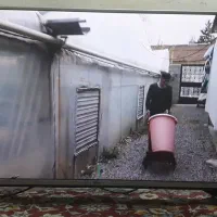 ال ای دی ۴۳ اینچ الجی