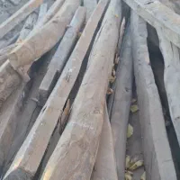 فروش چوب راش مخصوص نجاری