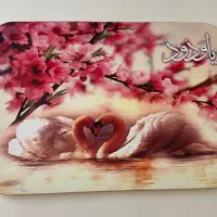 تابلو های فنگشویی|تابلو، نقاشی، عکس|تهران, شهرک گلها (تهرانسر)|دیوار