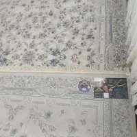 فرش|فرش|سبزوار, چهارراه فرودگاه|دیوار